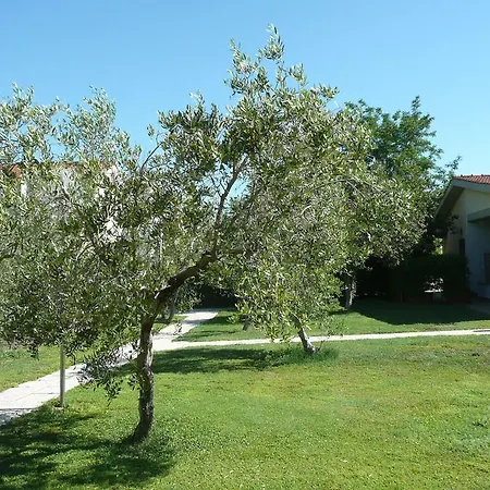 Fattoria San Vincenzo Vakantieboerderij *