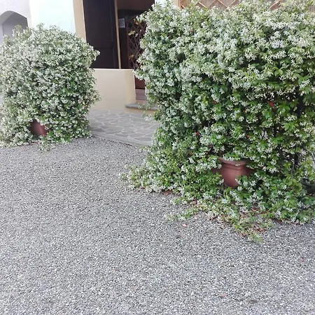 Fattoria San Vincenzo * Marina di Grosseto