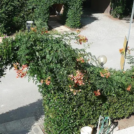 Alloggio per agriturismo Fattoria San Vincenzo