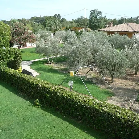 Fattoria San Vincenzo *