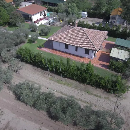 Fattoria San Vincenzo *