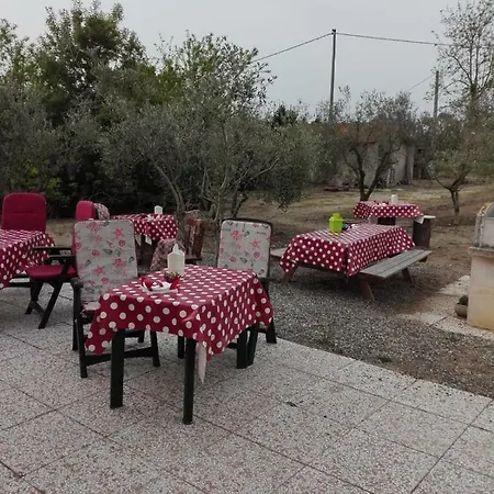 Fattoria San Vincenzo