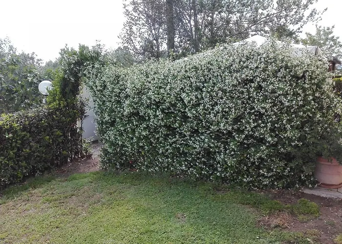 Fattoria San Vincenzo Feriegård *