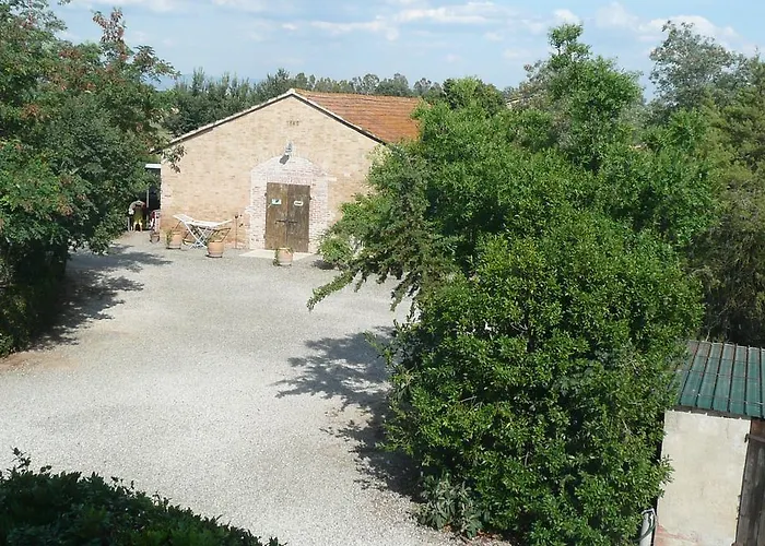Fattoria San Vincenzo