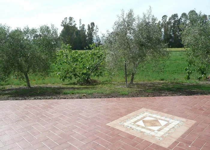 Fattoria San Vincenzo