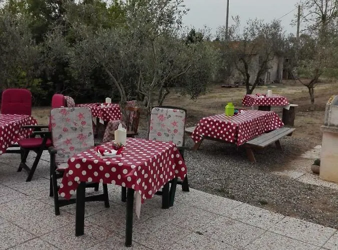 Fattoria San Vincenzo